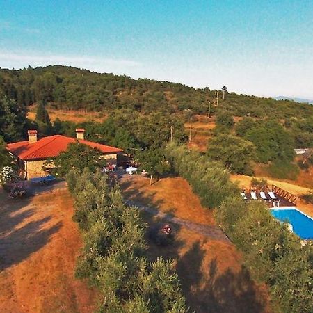 Casa Vacanza Le Corniole Civitella in Val di Chiana Ngoại thất bức ảnh