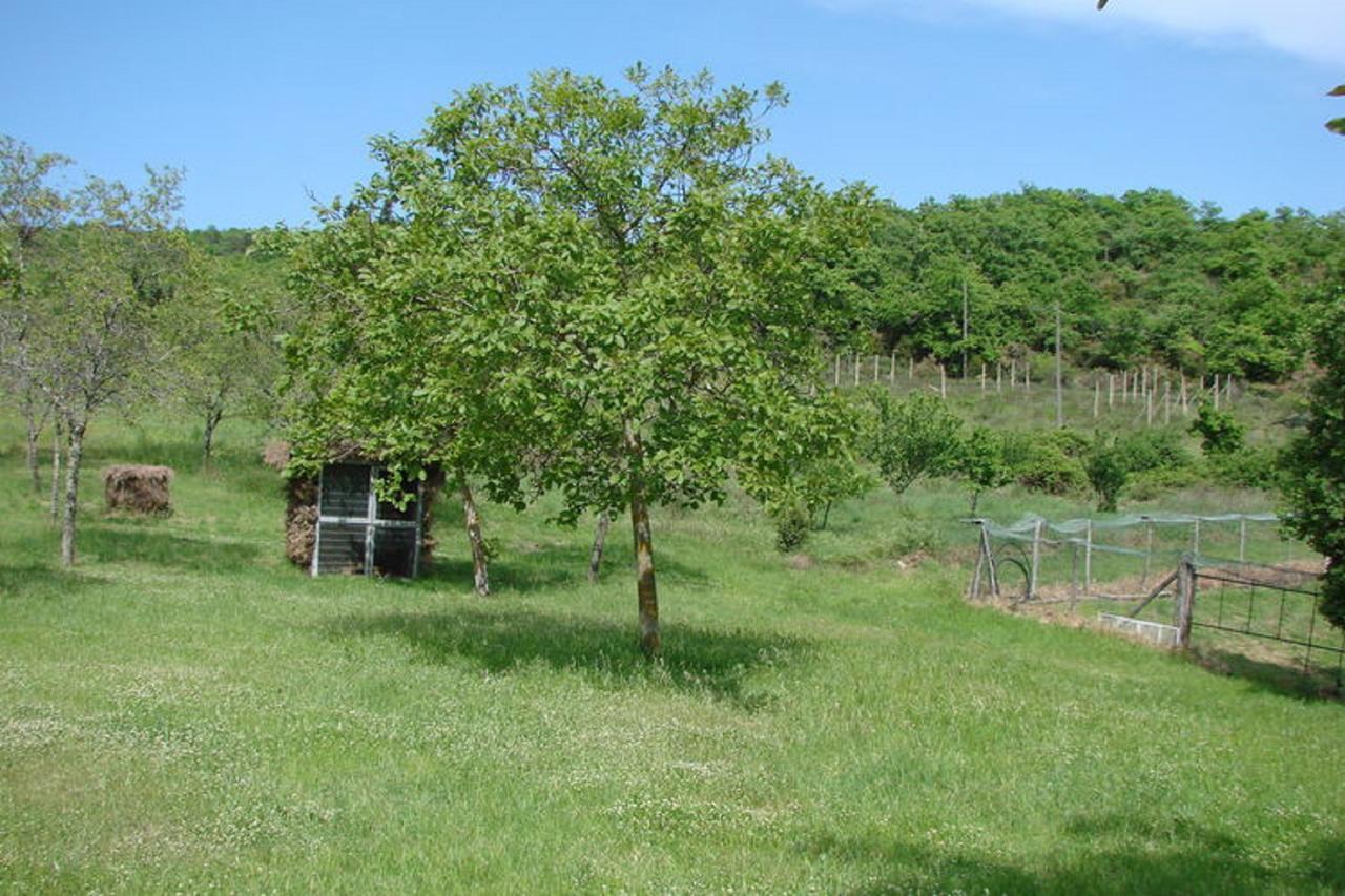 Casa Vacanza Le Corniole Civitella in Val di Chiana Ngoại thất bức ảnh